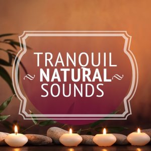 อัลบัม Tranquil Natural Sounds ศิลปิน Tranquil Music Sounds of Nature