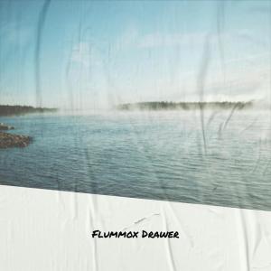 Listen to Flummox Drawer song with lyrics from Idda