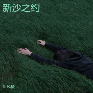 Listen to 新沙之约 (完整版) song with lyrics from 听风楼