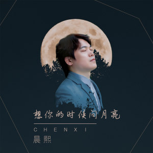 Listen to 想你的时候问月亮 (伴奏) song with lyrics from 晨熙