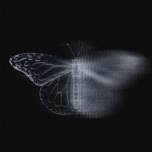 default album img