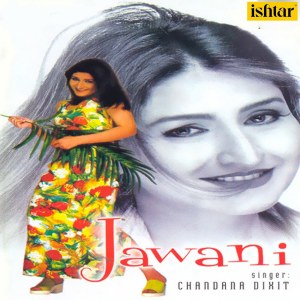 Listen to Dil Bole Kya Bole song with lyrics from Chandana Dixit