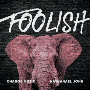 Album Foolish from Change Musik
