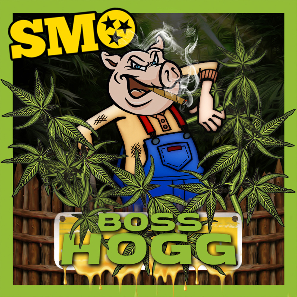 BOSS HOGG (Explicit)