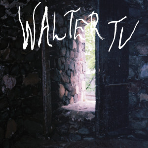 ดาวน์โหลดและฟังเพลง Punk Song พร้อมเนื้อเพลงจาก Walter TV