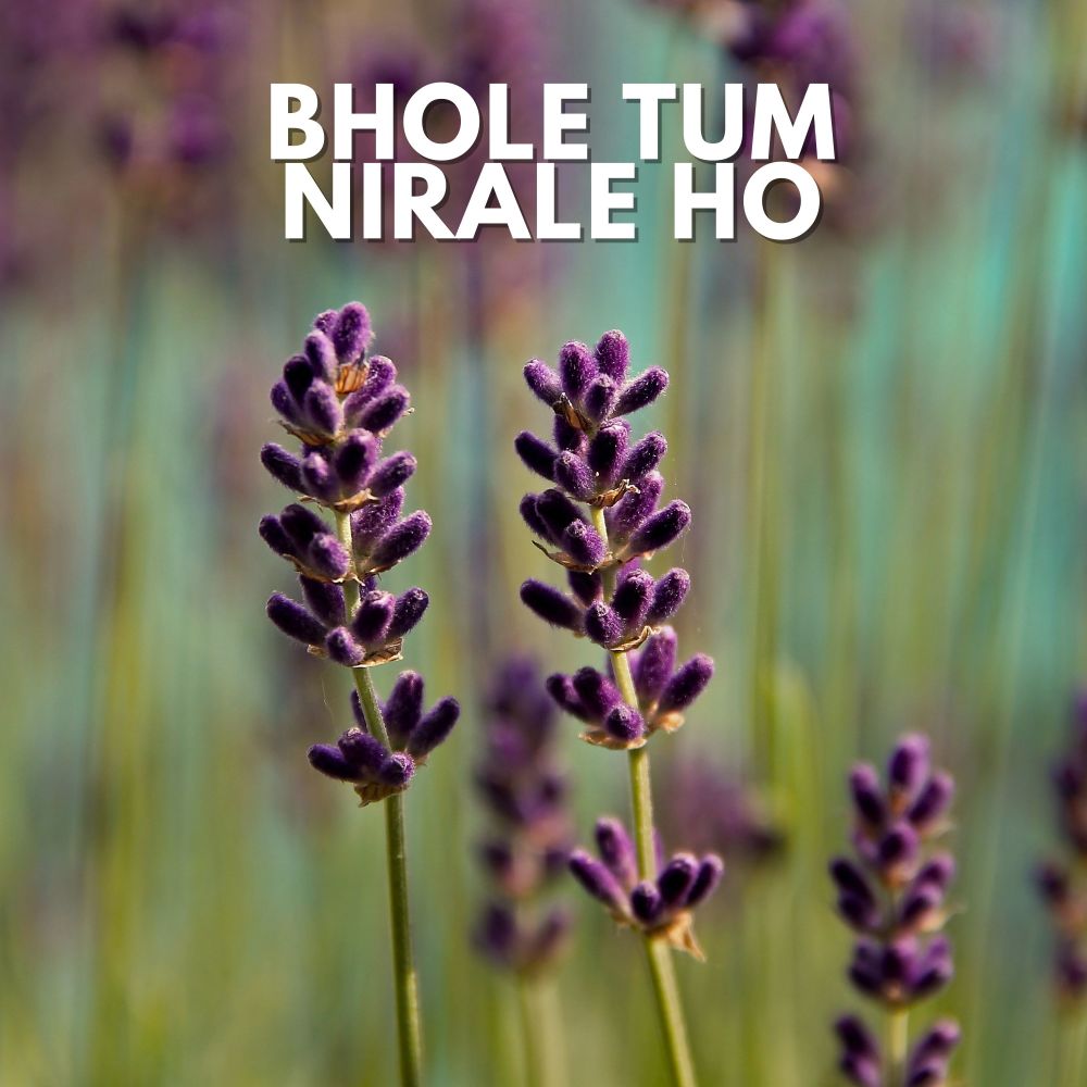 Bhole Tum Nirale Ho