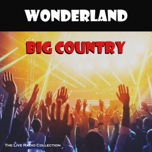 อัลบัม Wonderland ศิลปิน Big Country