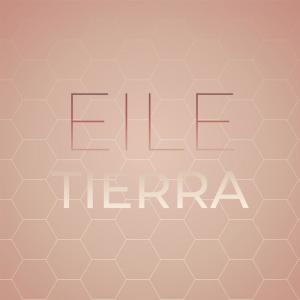 Listen to Pepe Da song with lyrics from Mord Ther