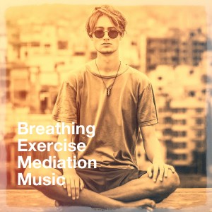 Relaxation Reading Music的專輯Breathing Exercise Mediation Music