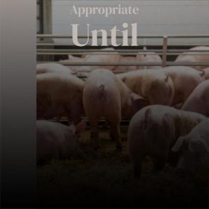 收听Feve Puno的Appropriate Until歌词歌曲