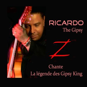 ดาวน์โหลดและฟังเพลง La Vida en Rosa พร้อมเนื้อเพลงจาก Ricardo The Gipsy