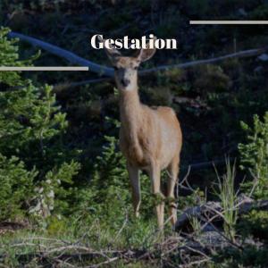 Listen to Consternated song with lyrics from Sven Beff
