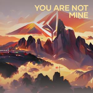Album You Are Not Mine from Tamba Musik