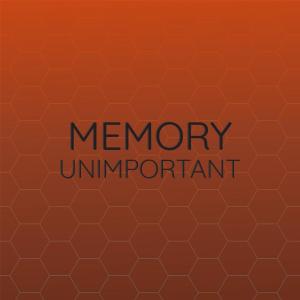 อัลบัม Memory Unimportant ศิลปิน Various