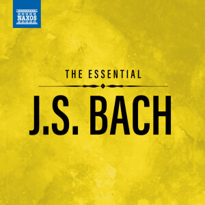 Listen to Mass in B Minor, BWV 232: XXVII. Dona nobis pacem (Remastered 2023) song with lyrics from Atlanta Symphony Orchestra Chorus