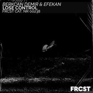 收聽Berkcan Demir的Lose Control歌詞歌曲
