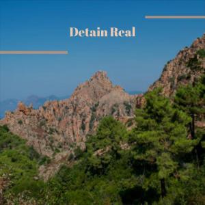Album Detain Real from 