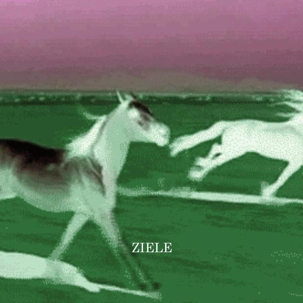 ziele