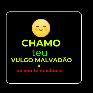 Album CHAMO TEU VULGO MALVADÃO X EU VOU TE MACHUCAR (Explicit) from DJ Sorriso Talibã