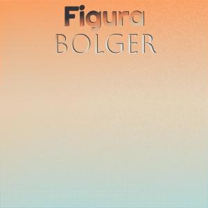 Various Artists的專輯Figura Bolger