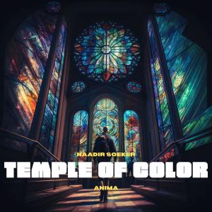 Album TEMPLE OF COLOR from Anima