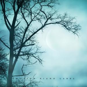 Album Tranquility Night (New Age Piano) from Landscape Sound