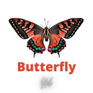 收听Liláh的Butterfly歌词歌曲
