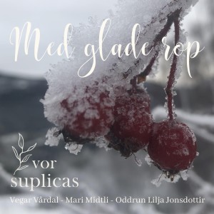 Vegar Vårdal的專輯Med glade rop
