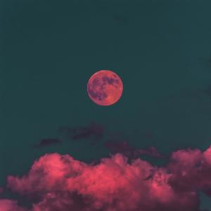 收听HnS的달맞이꽃歌词歌曲