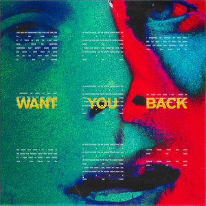 Want You Back