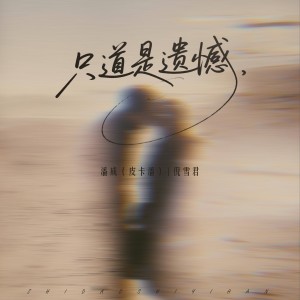 Listen to 只道是遗憾 (伴奏) song with lyrics from 潘成