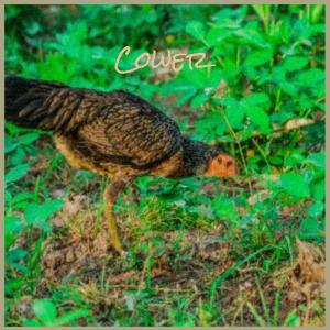 Listen to Past She song with lyrics from Valeer Alon