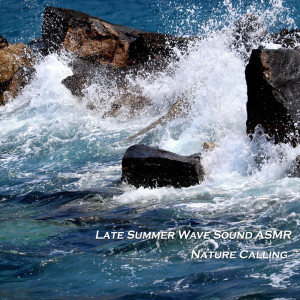 Album Late Summer Wave Sound ASMR from 네이쳐콜링