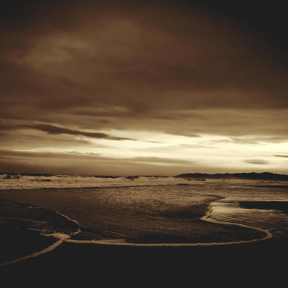 WASTELAND (feat. Paweł Hinc)