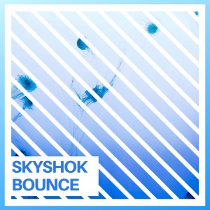 Skyshok的專輯Bounce