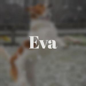 Album Eva oleh Various Artists