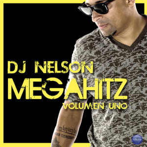 ดาวน์โหลดและฟังเพลง Hit It From the Back พร้อมเนื้อเพลงจาก DJ Nelson