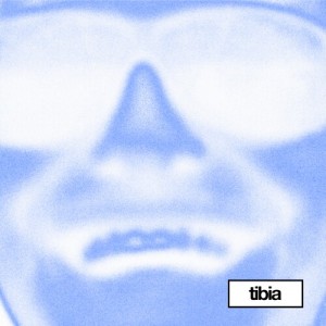 收听Tibia的Molly in Mexico (Mr. Tophat Remix)歌词歌曲