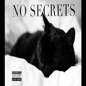 Dynamite tha Don的专辑No Secrets (Explicit)