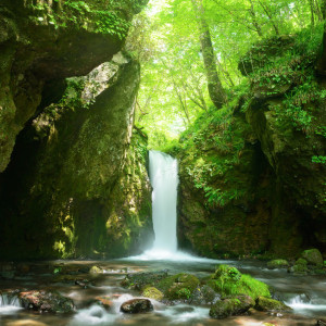 Sounds of Scandinavia的專輯Streamside Bliss: Flowing Tranquility with Harmony