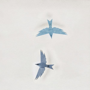 Raban的專輯Paper Birds