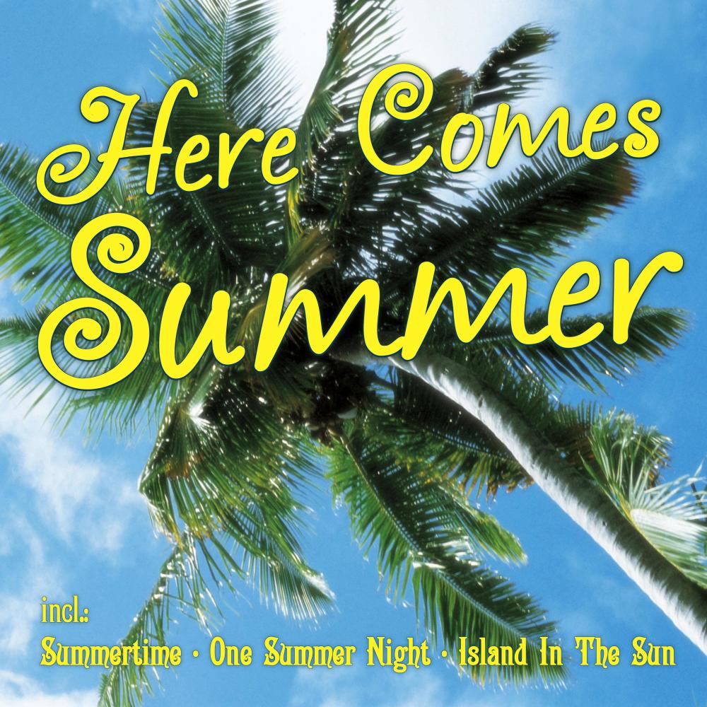 I Didn’t Have Any Summer Romance