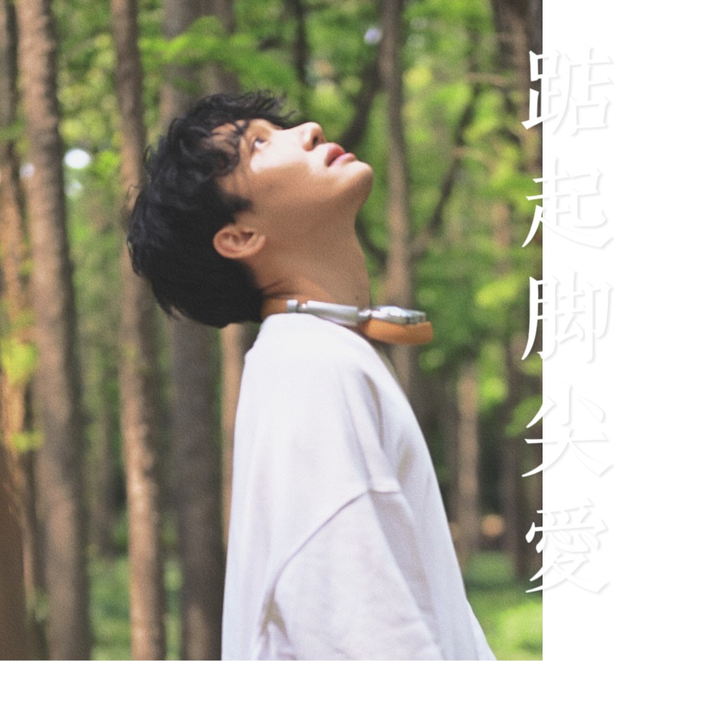 踮起脚尖爱 (cover: 洪佩瑜) (完整版)
