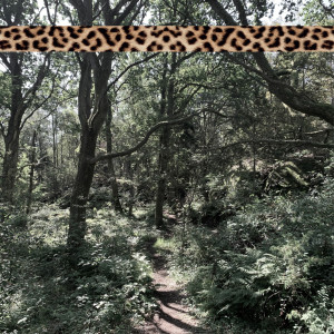 อัลบัม Leopard Tape 002 ศิลปิน Andreas Foxx