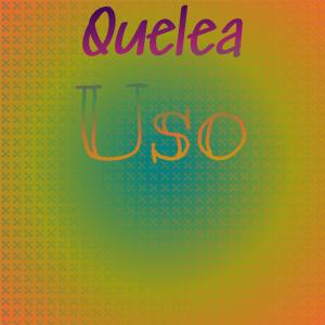 ดาวน์โหลดและฟังเพลง Quelea Uso พร้อมเนื้อเพลงจาก Abrahan Zargi