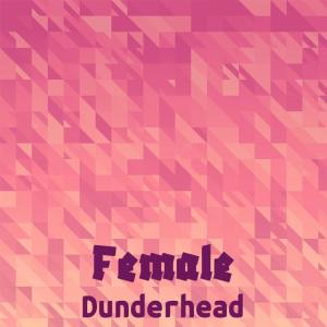 Female Dunderhead dari Various Artists