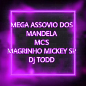 Album Mega Assovio dos Mandela (Explicit) oleh Dj Todd