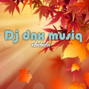 收聽DJ Dnx Musiq的Xibebula歌詞歌曲