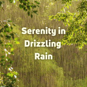 Rain Sound Studio的专辑Serenity in Drizzling Rain