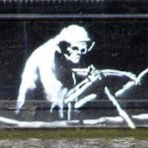 Album Chemical Outbreak from DRO